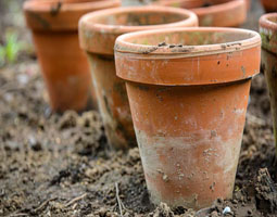 Garden Pots